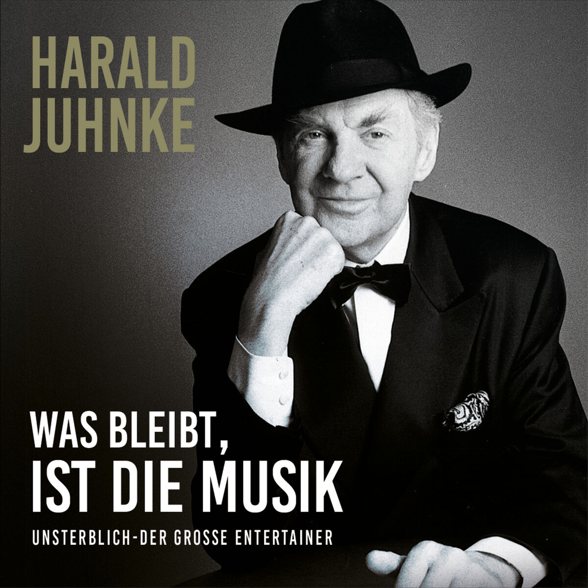 Album cover of Was bleibt ist die Musik - Unsterblich der große Entertainer