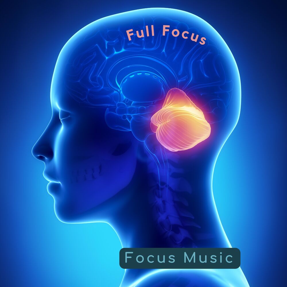Picture of Full Focus