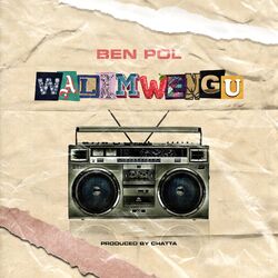 Cover of Walimwengu