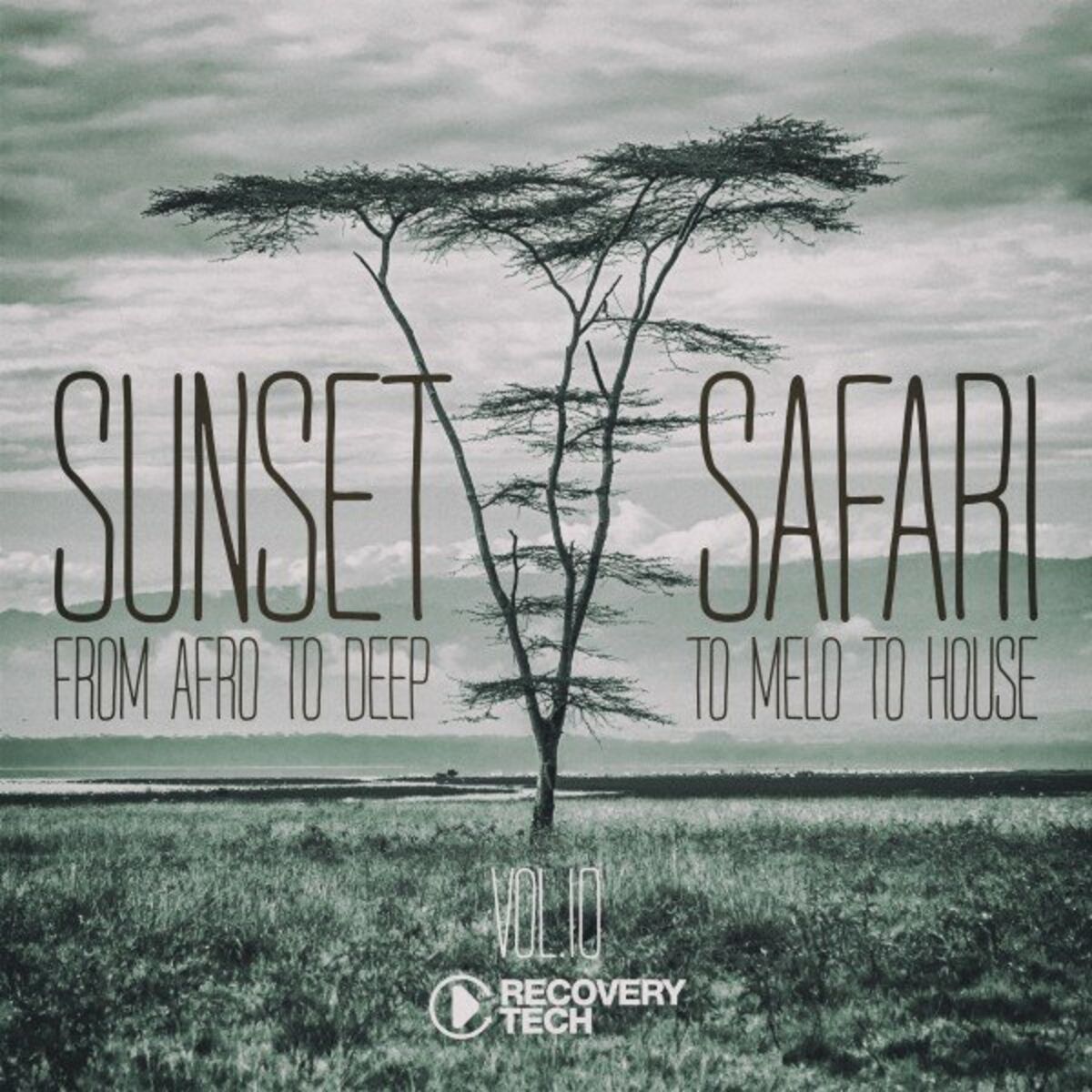 Album cover of Sunset Safari, Vol. 10