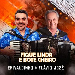 Cover of Fique Linda e Bote Cheiro