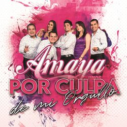 Cover of Por Culpa de Mi Orgullo