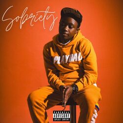 Cover of Sobriety