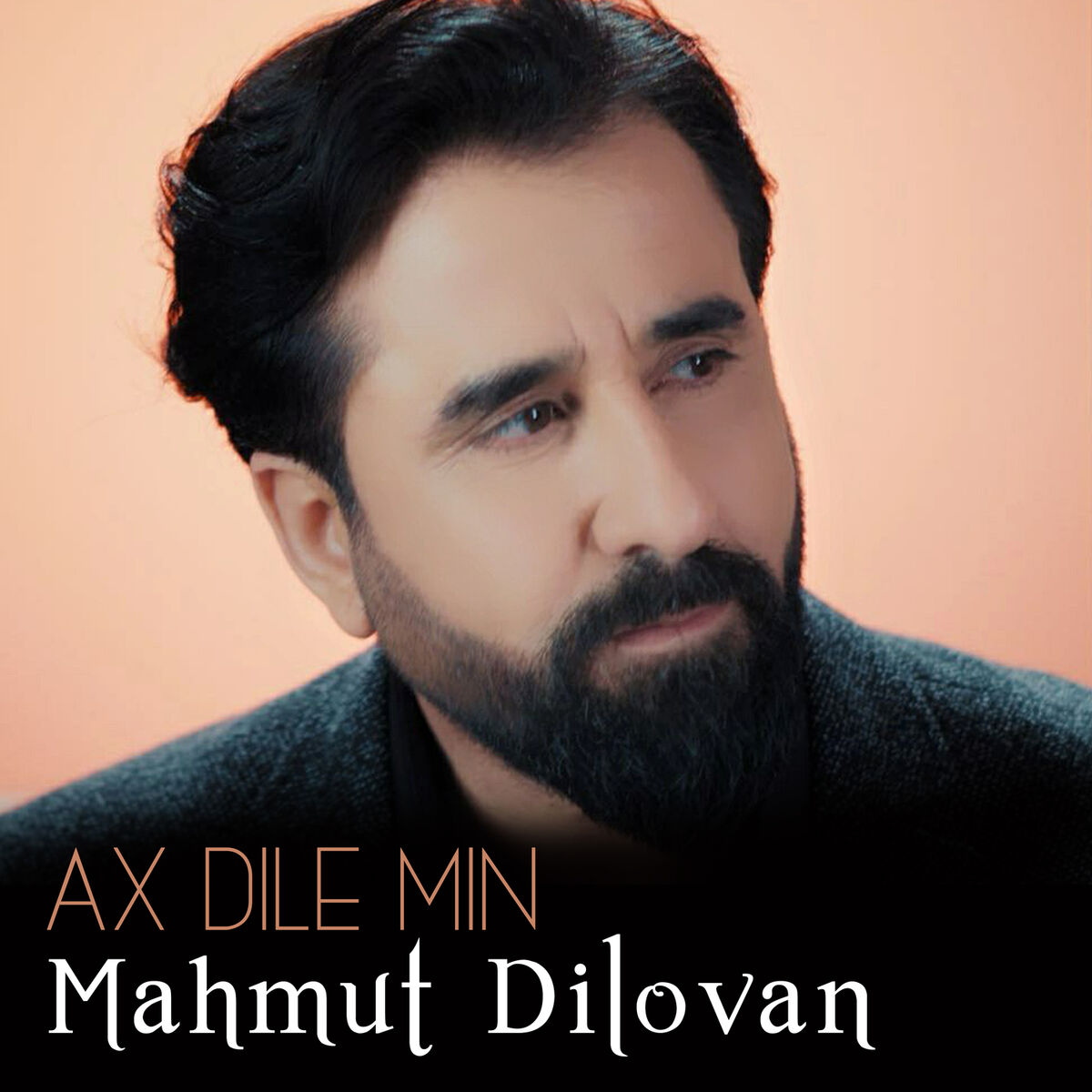 Album cover of Ax Dilê Min