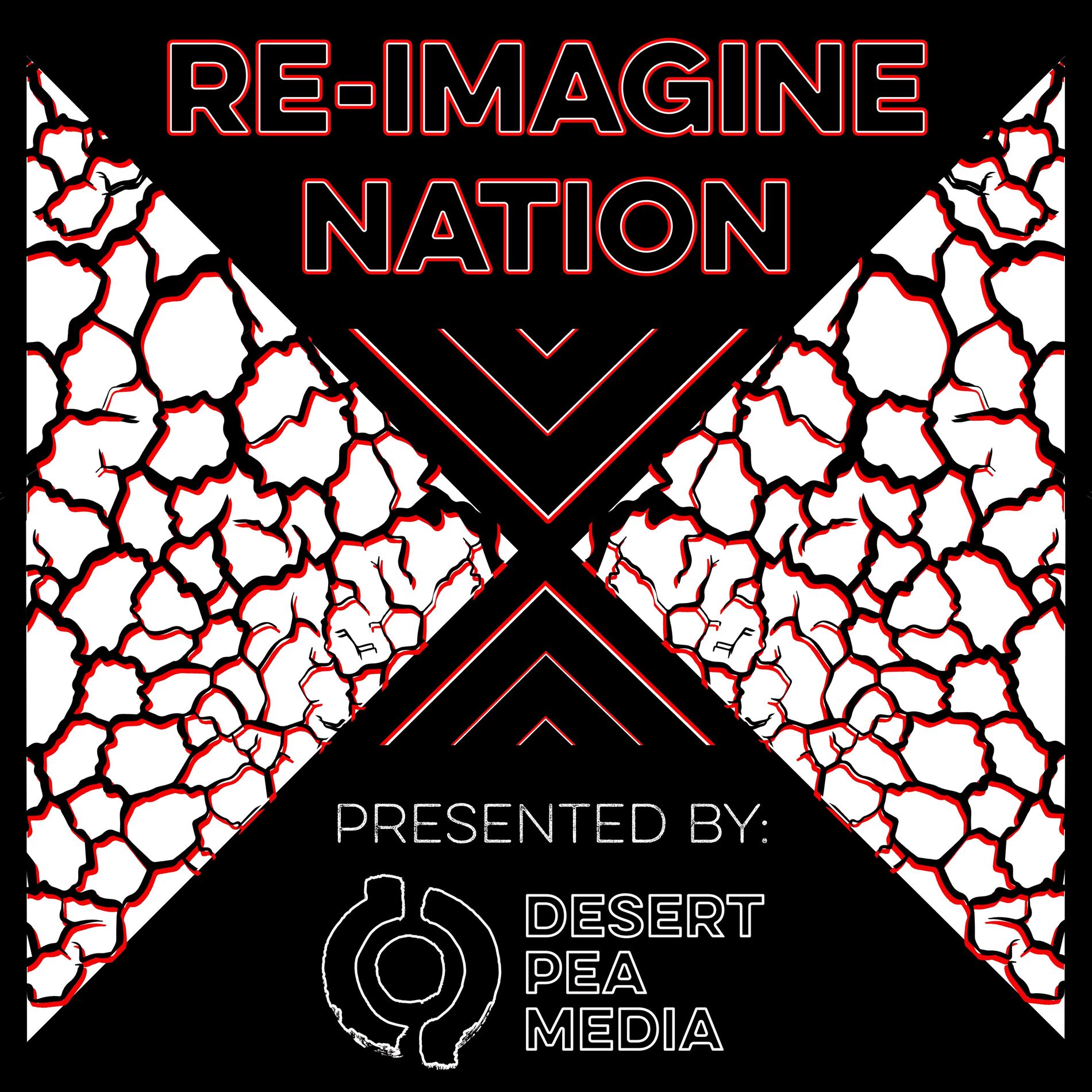 Album cover of Re-Imagine Nation
