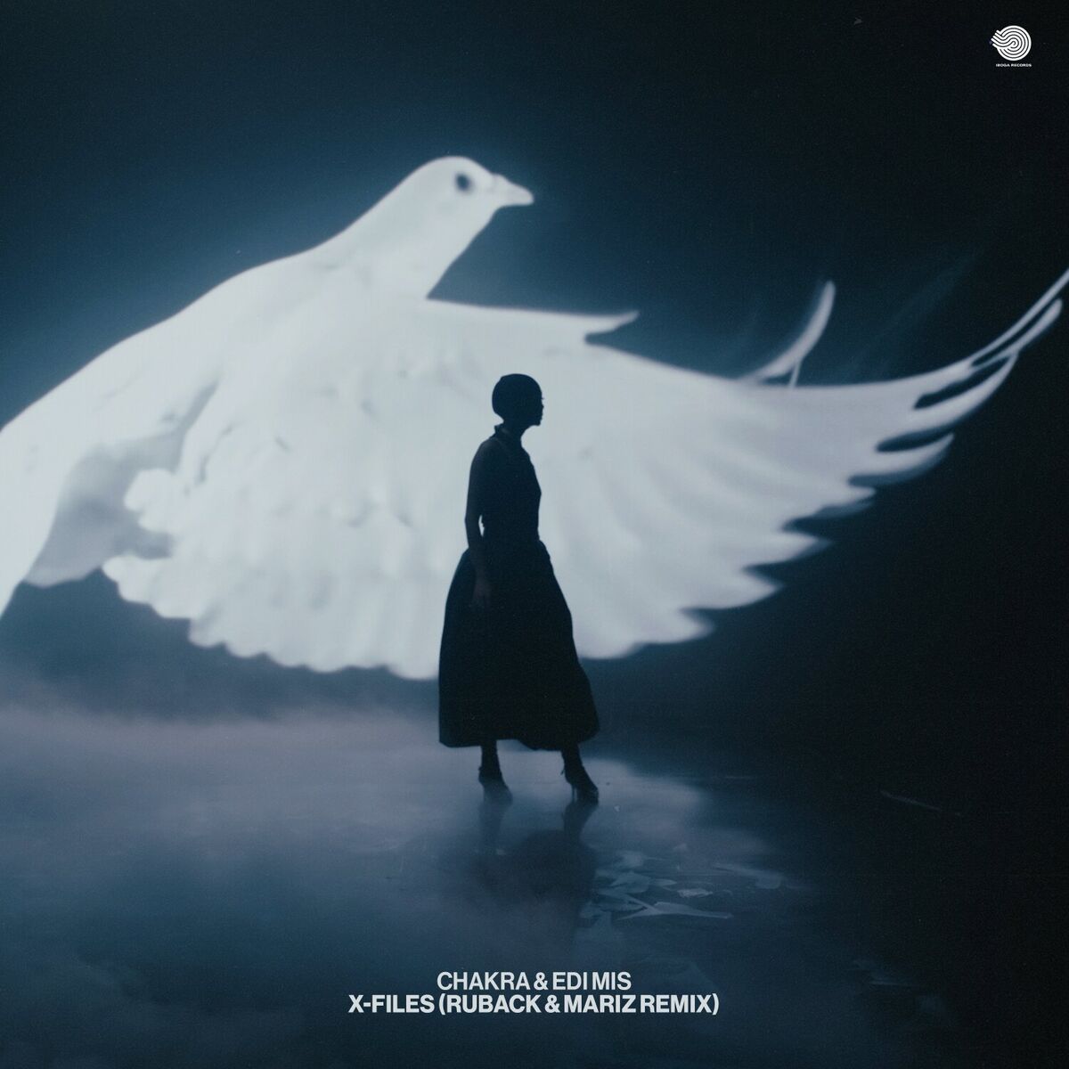 Album cover of X-Files (Ruback & Mariz Remix)