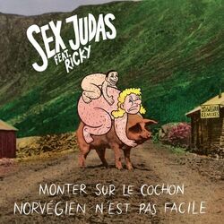Cover of Monter sur le cochon Norvégien n'est pas facile: The Norwegian Remixes