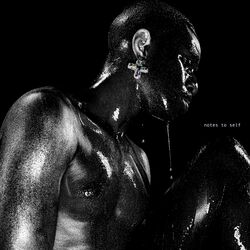 Cover of Notes To Self
