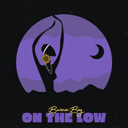 Cover of On the Low