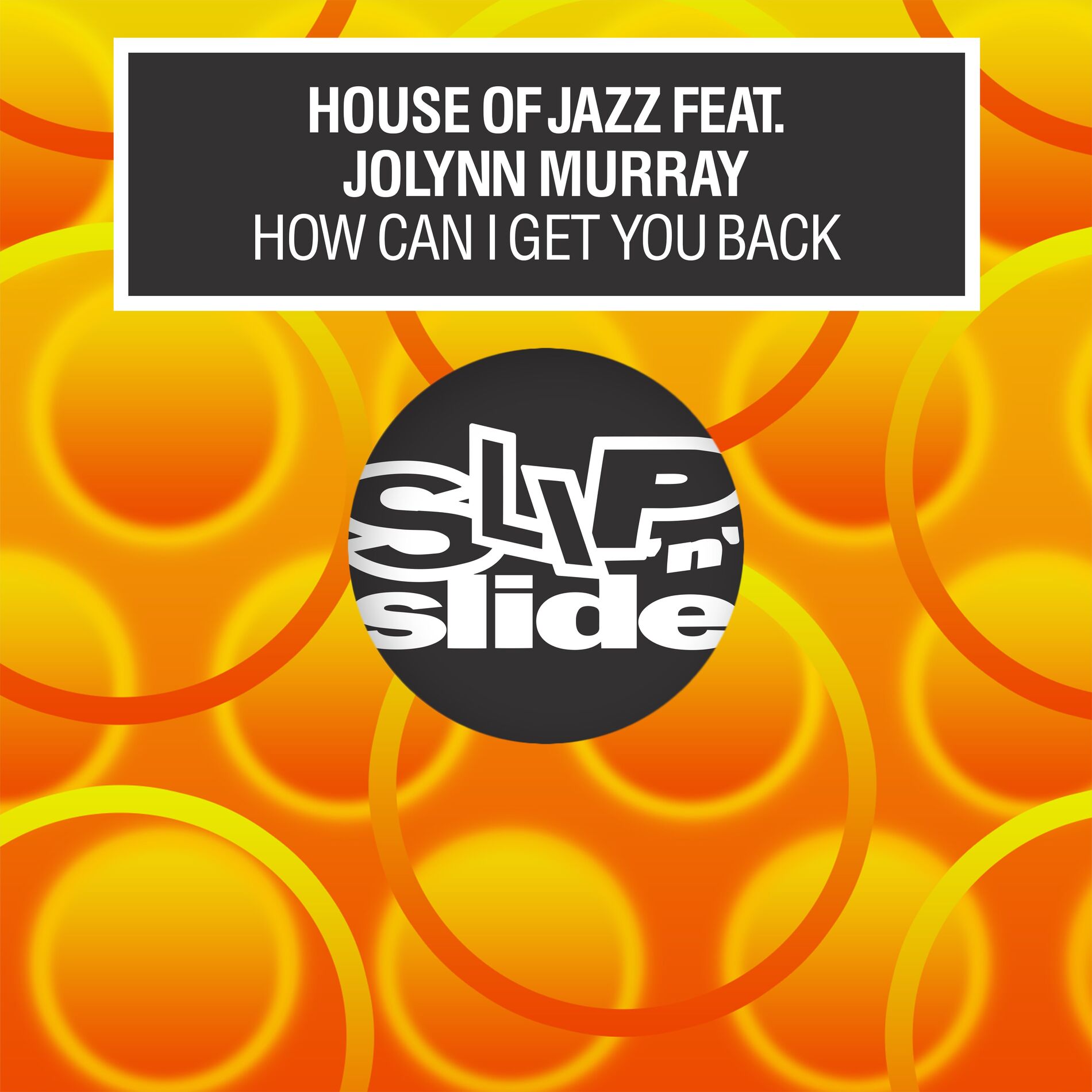Album cover of How Can I Get You Back