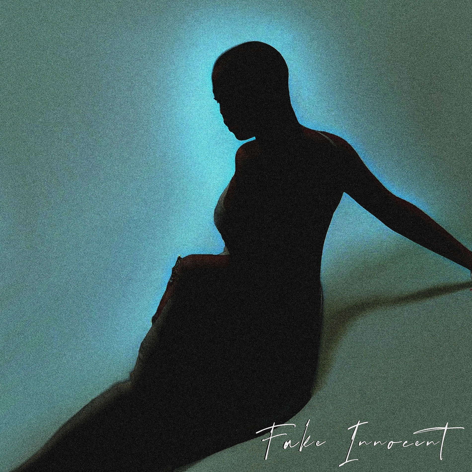 Album cover of Fake Innocent
