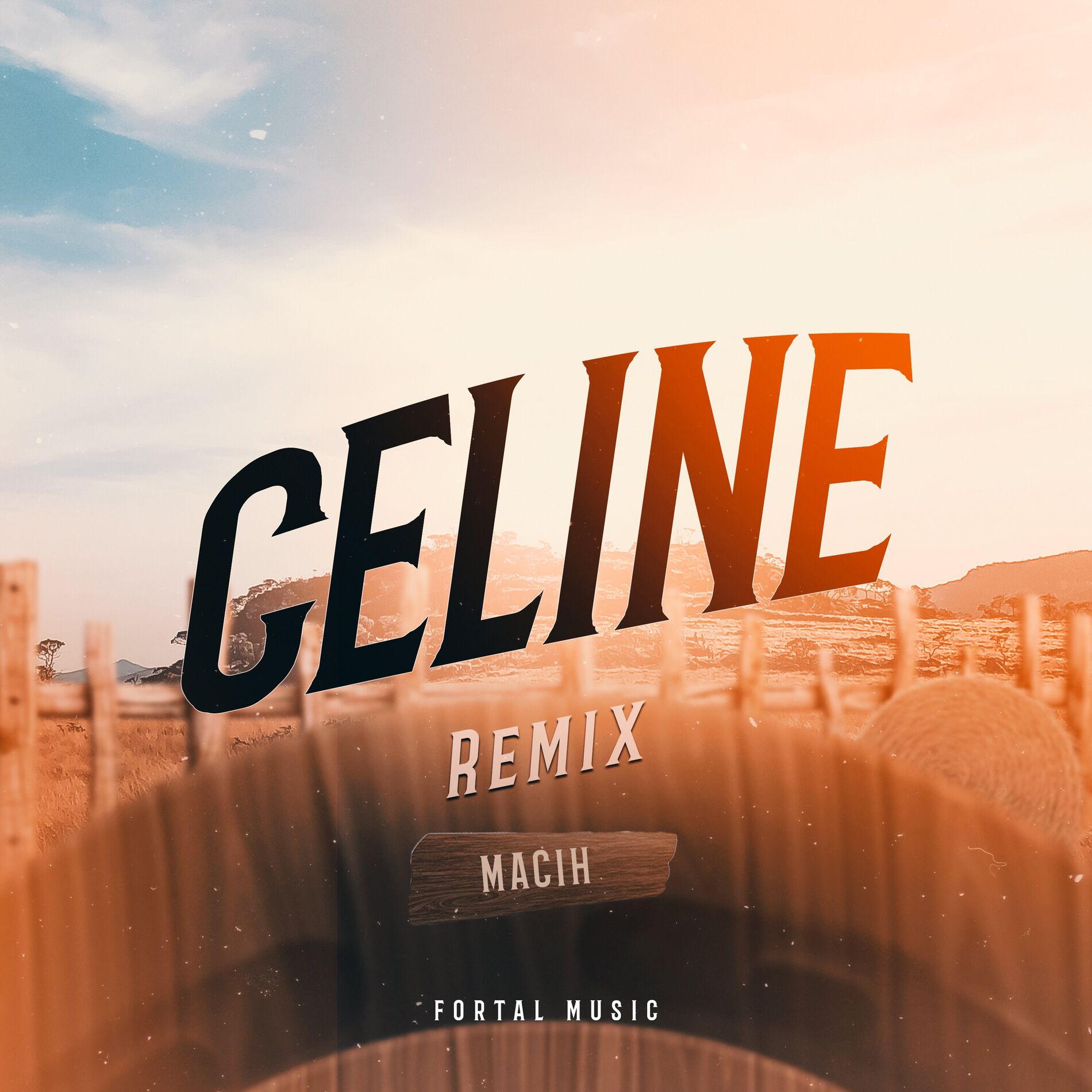 Album cover of CELINE (Remix)