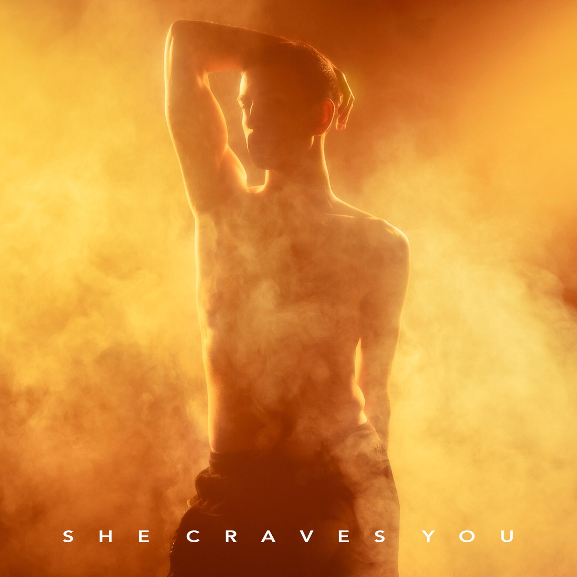 Album cover of She Craves You