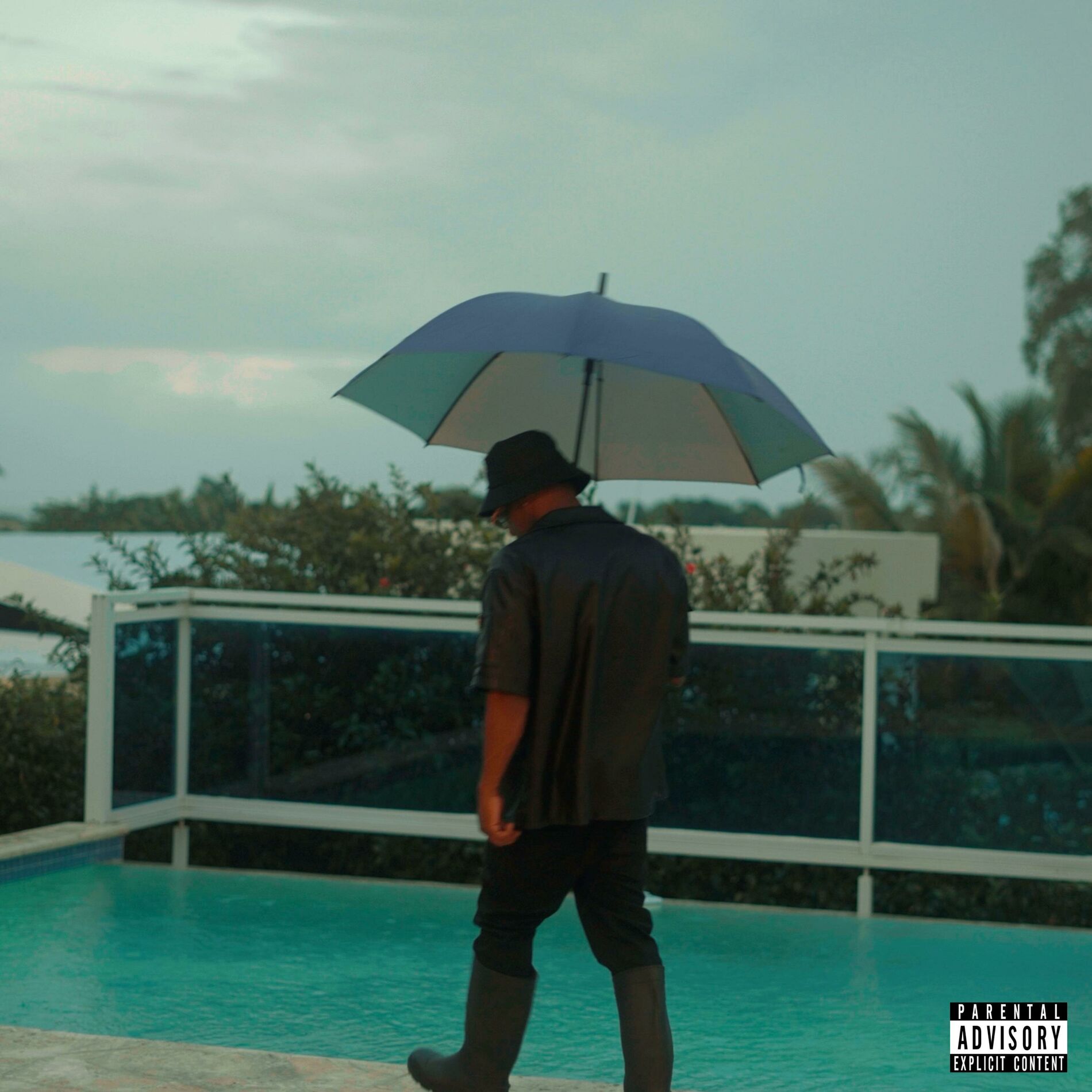 Album cover of Rain Coat