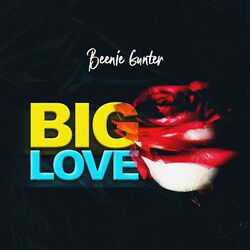 Cover of Big Love