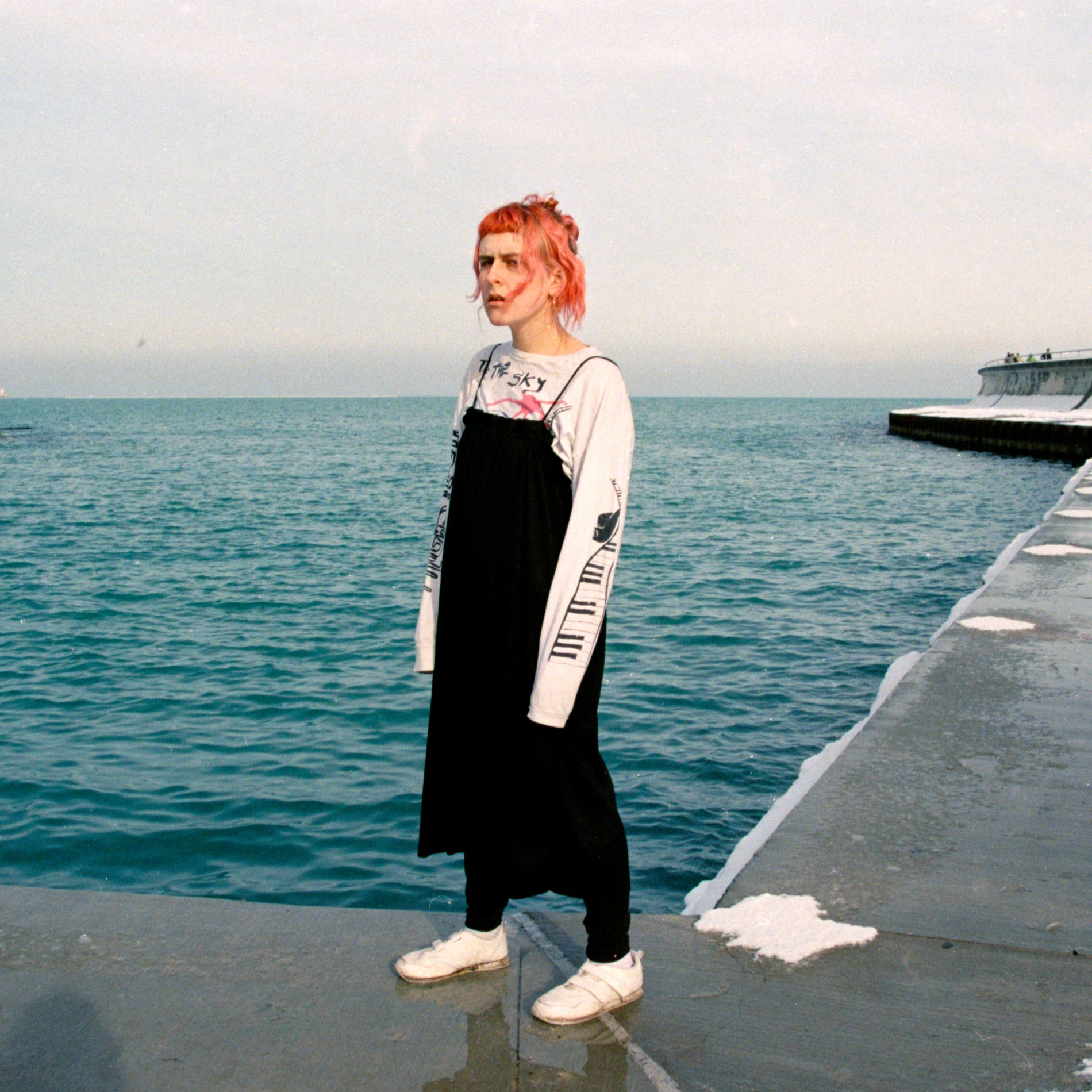 Album cover of Destroyer