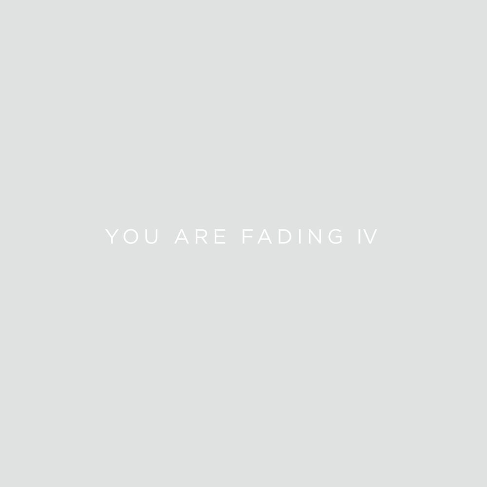 Picture of You Are Fading, Vol. 4 (Bonus Tracks 2005 - 2010)
