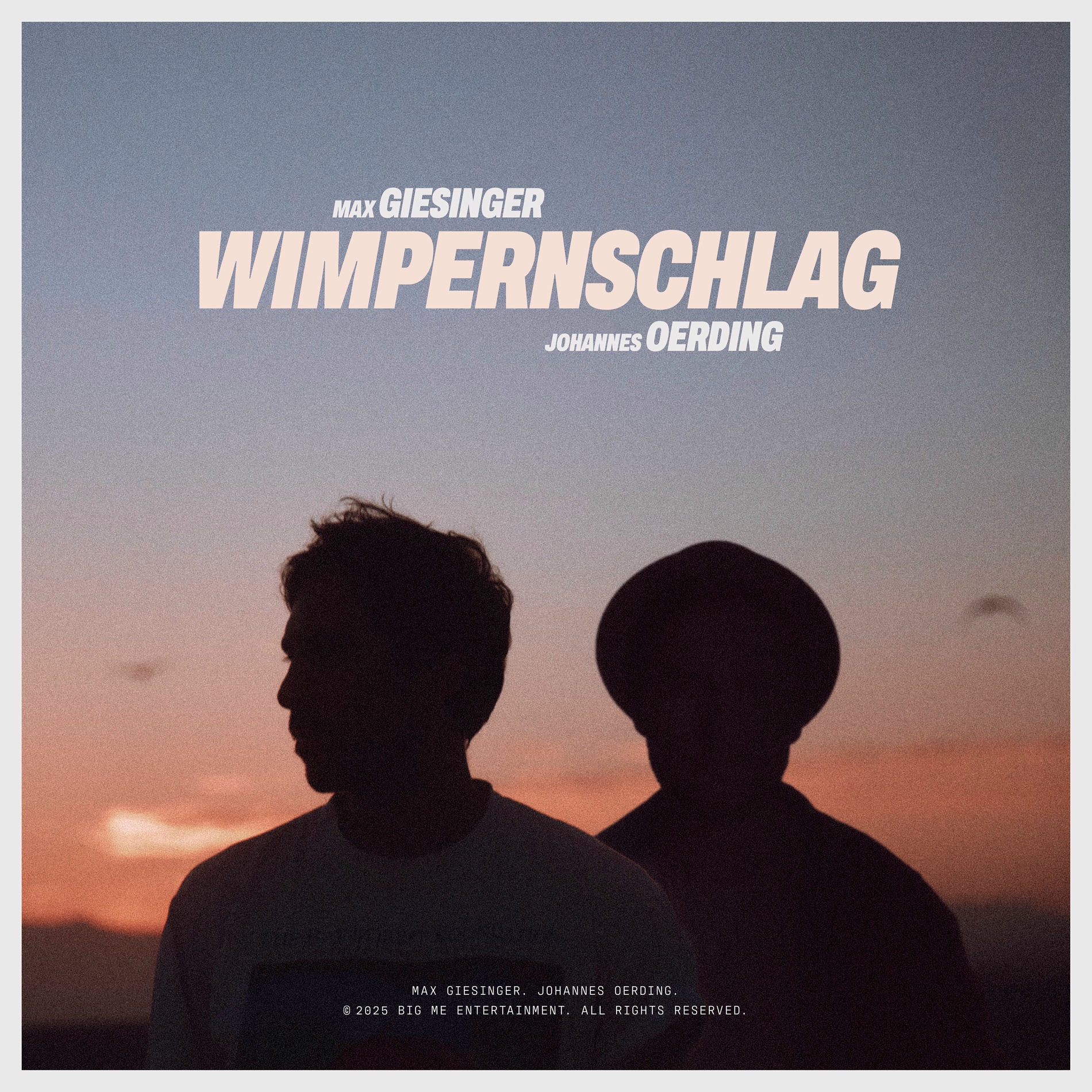 Album cover of Wimpernschlag