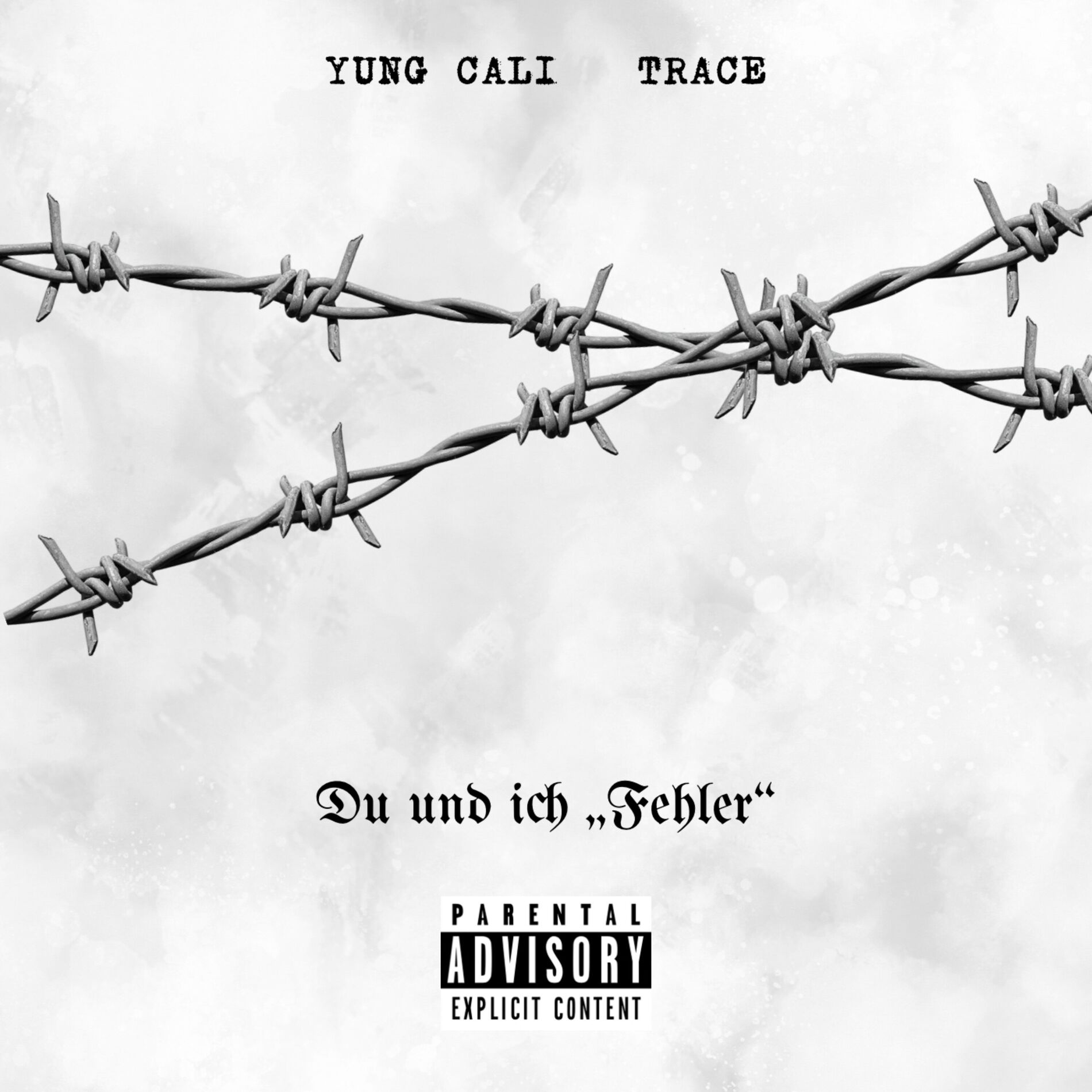 Album cover of Fehler