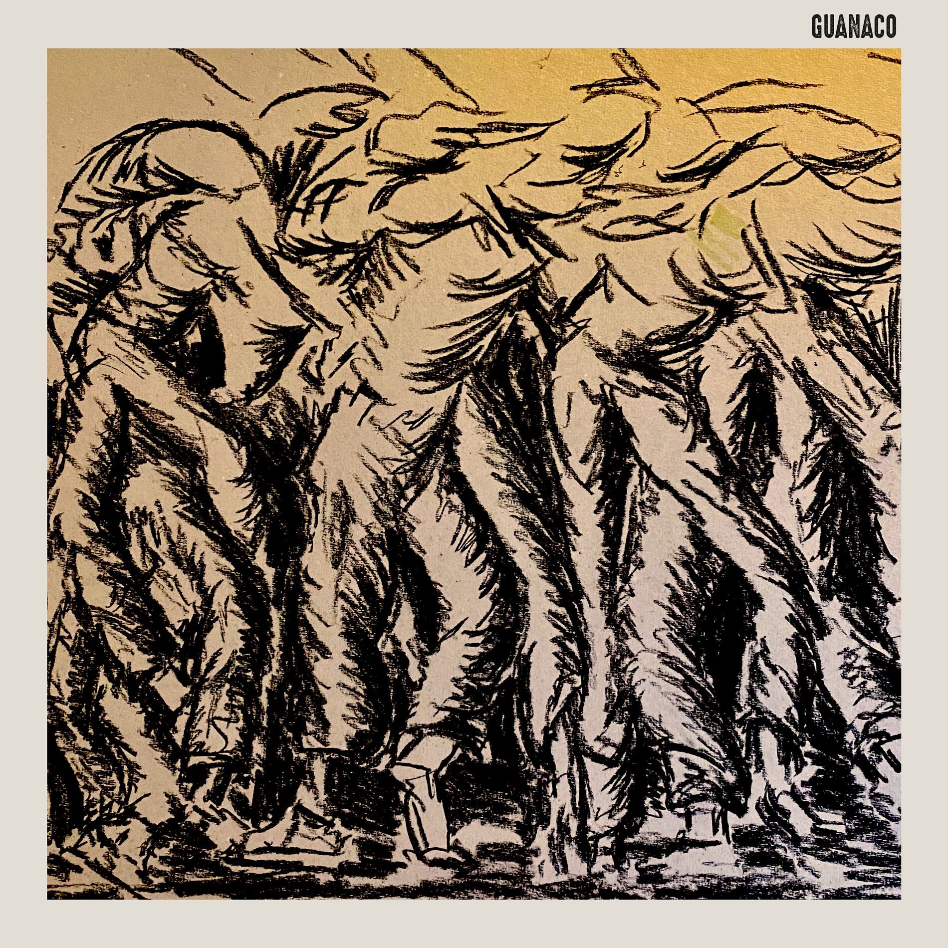 Album cover of Guanaco