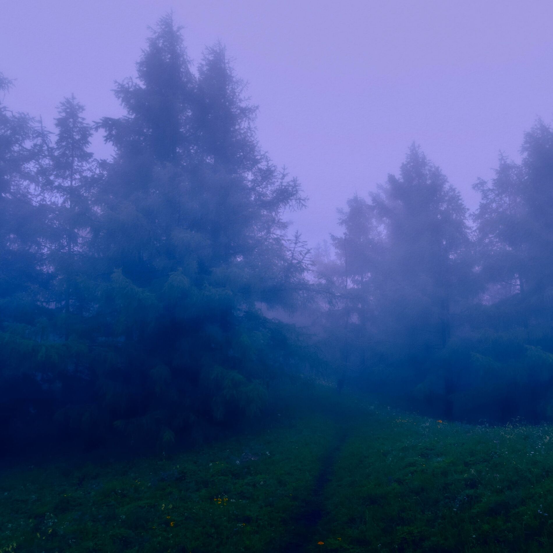 Album cover of 2am