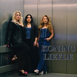 Cover of Koning Liefde