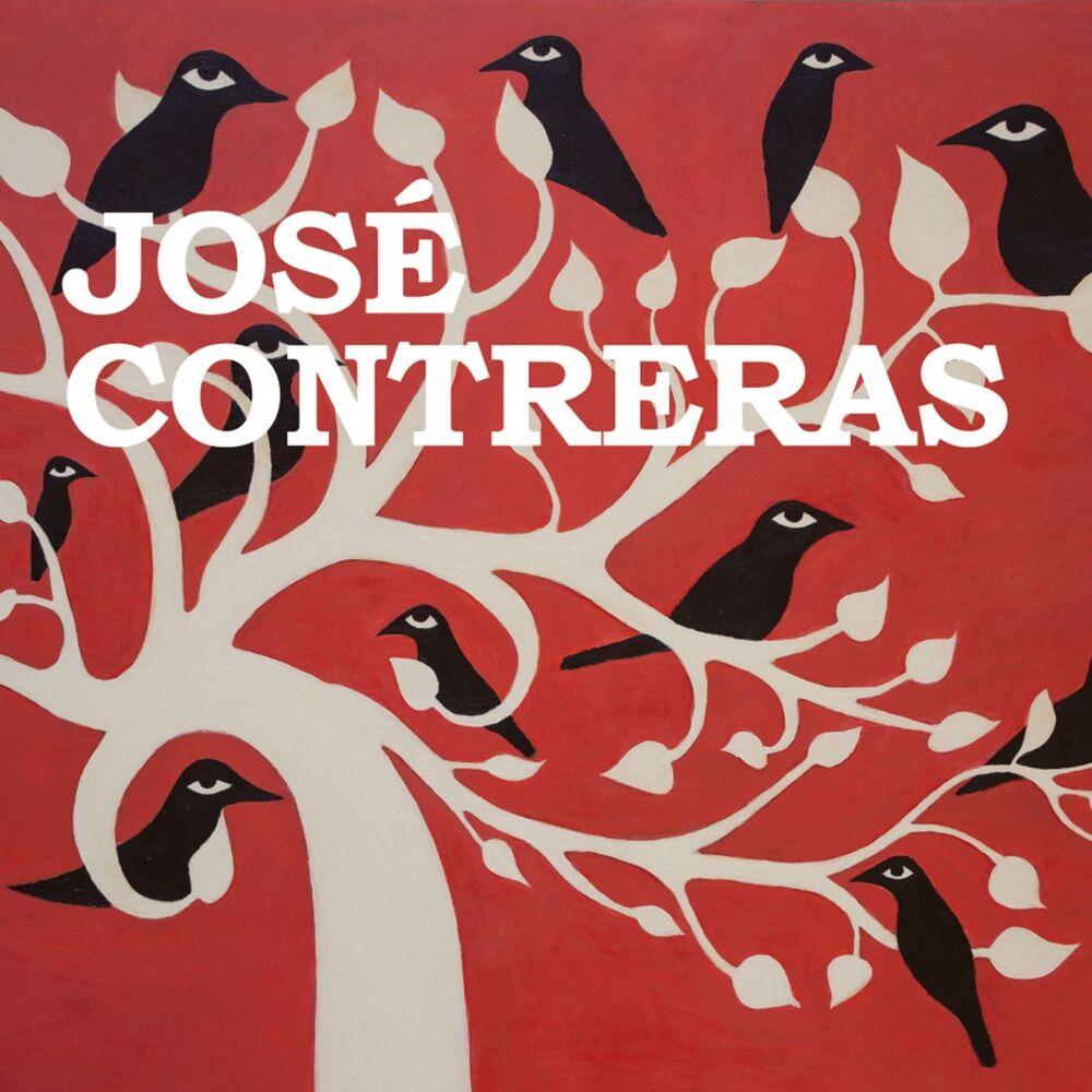 Picture of José Contreras