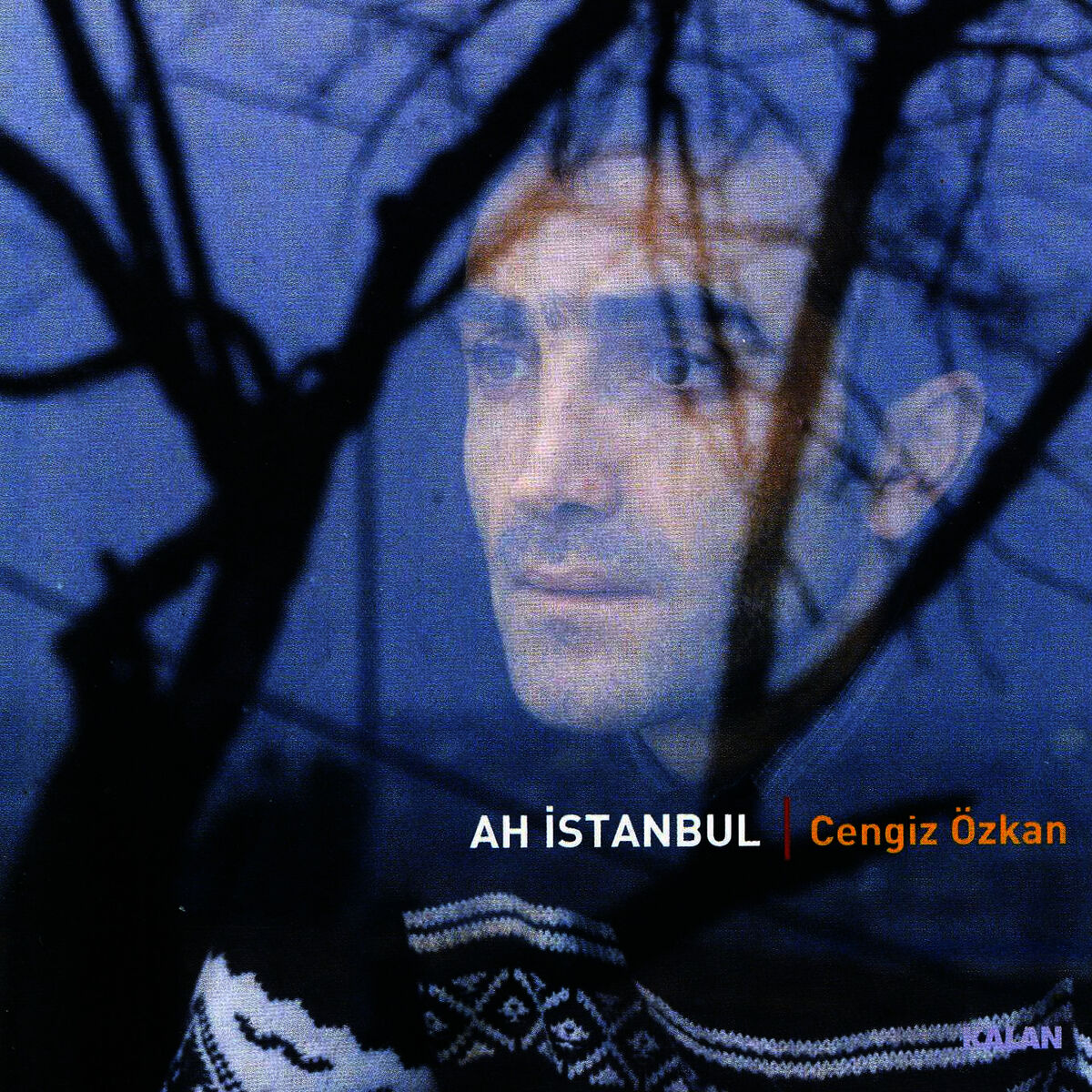 Album cover of Bir Ay Doğar