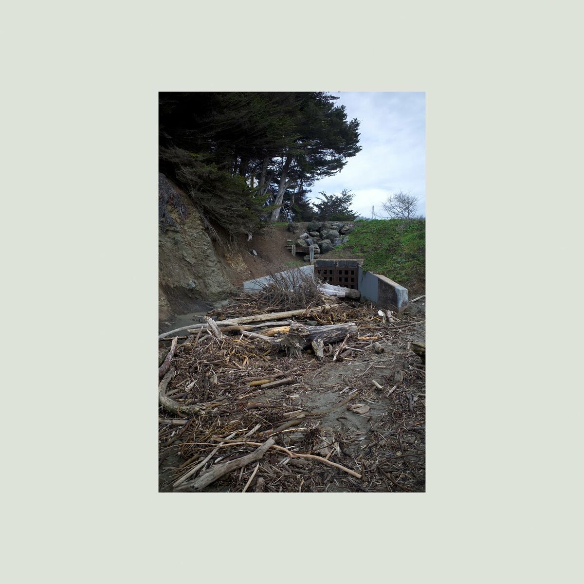 Album cover of Gualala