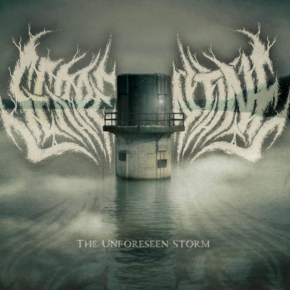 Album artwork for The Unforeseen Storm by serpentine