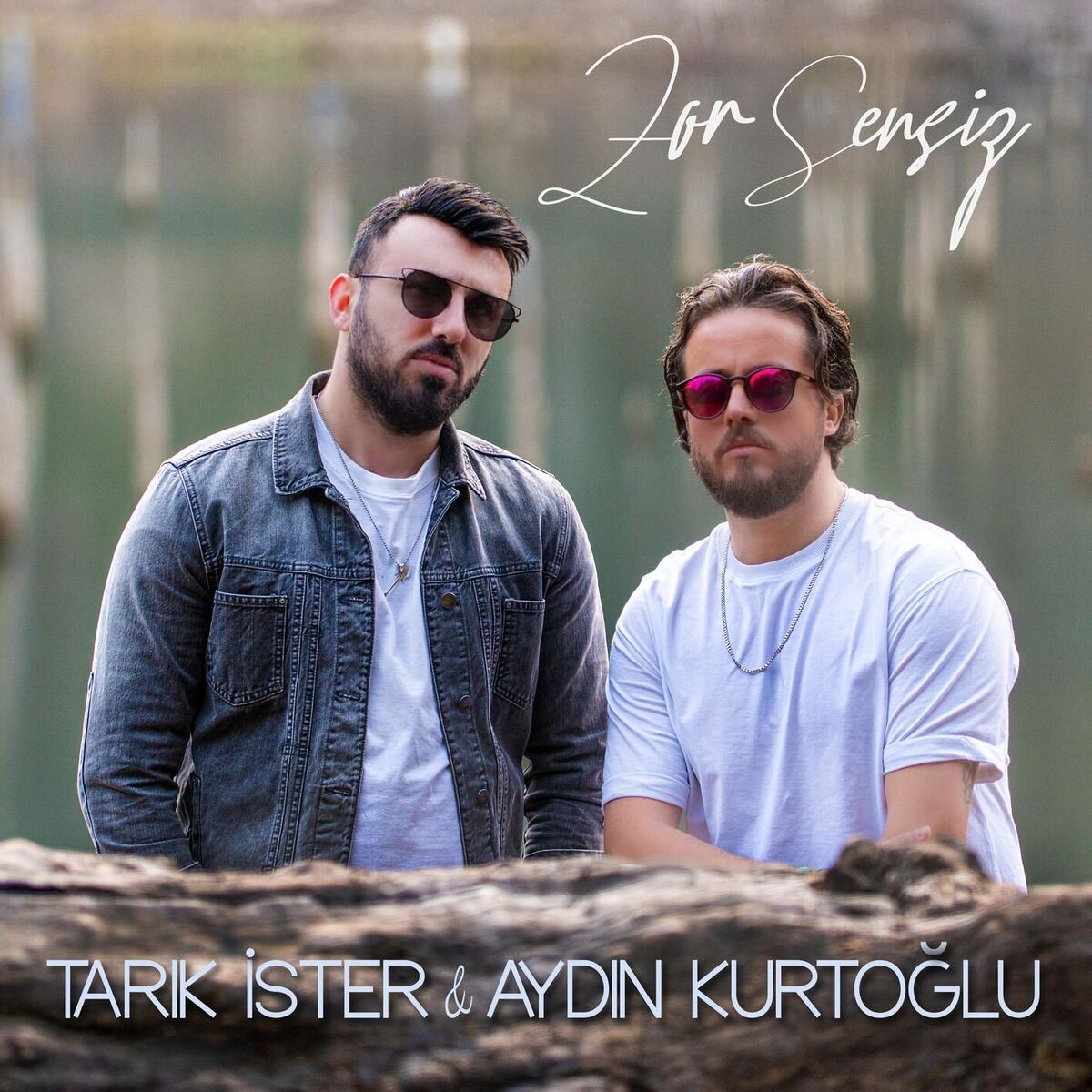 Album cover of Zor Sensiz