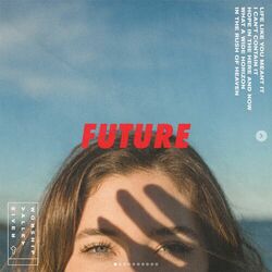Cover of Future