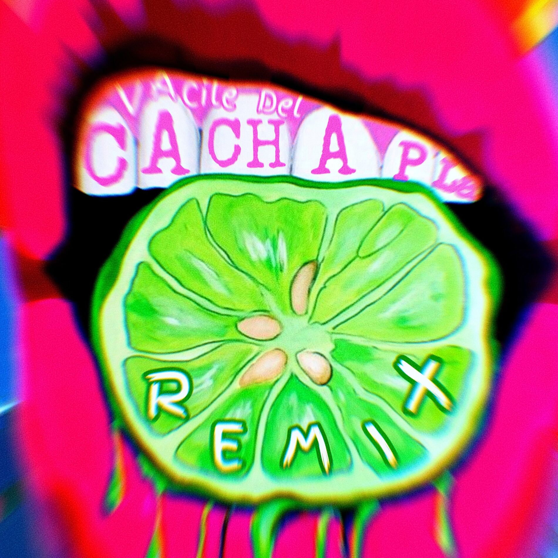 Album cover of Vacile del Cachapla (Remix)