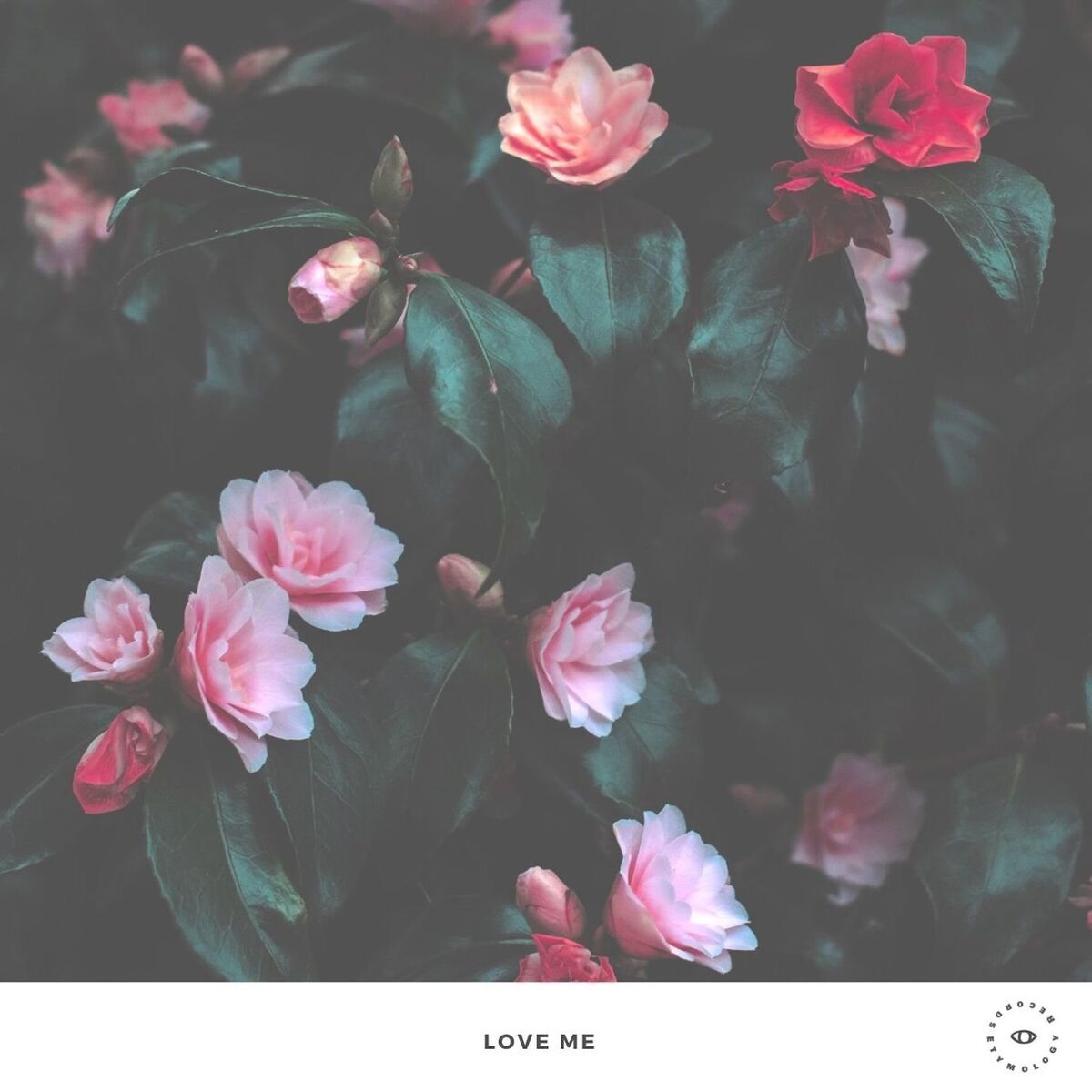 Album cover of Love Me