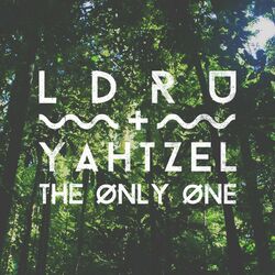 Cover of The Only One
