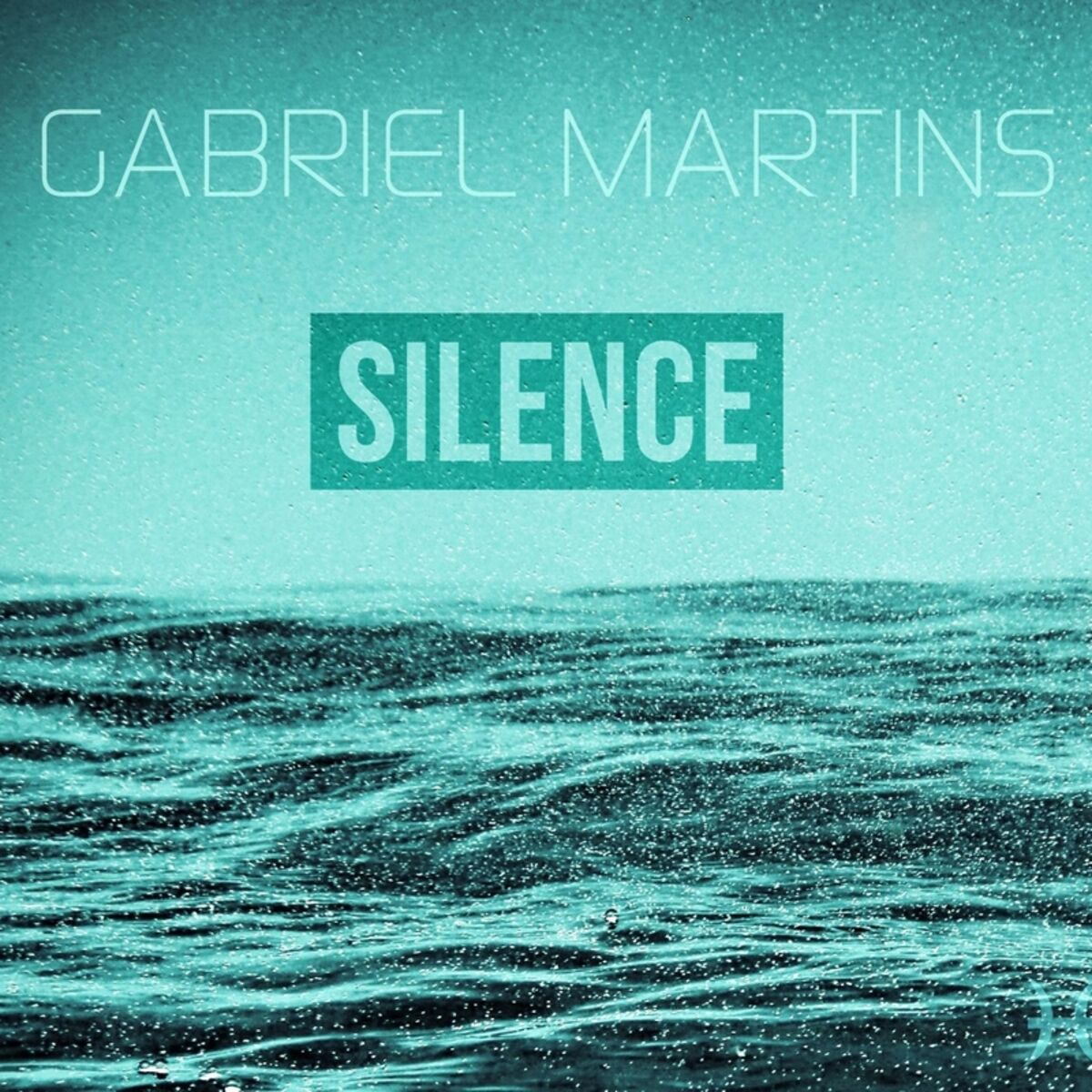 Album cover of Silence