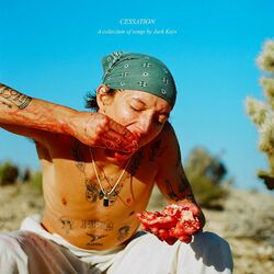 Cover of CESSATION
