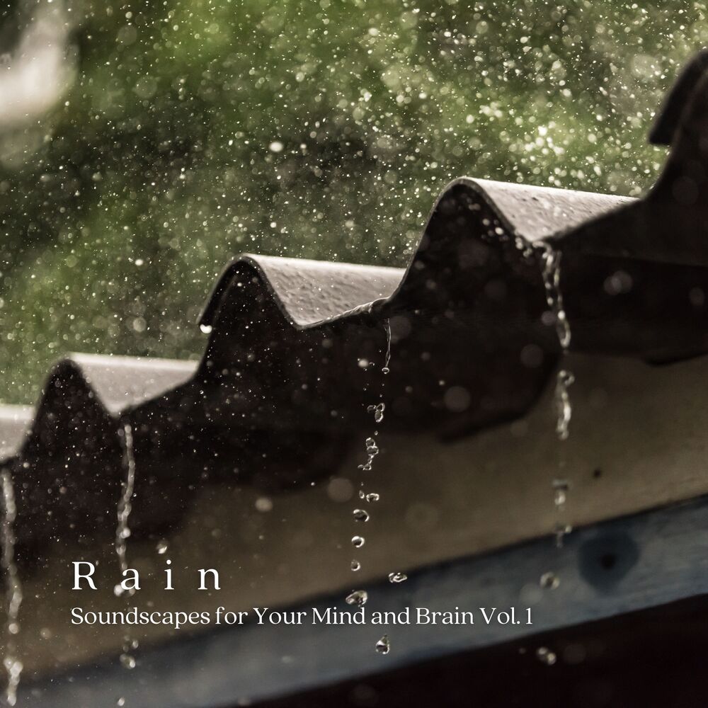 Picture of Rain: Soundscapes for Your Mind and Brain Vol. 1