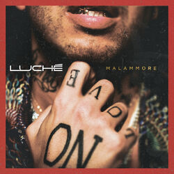 Cover of Malammore