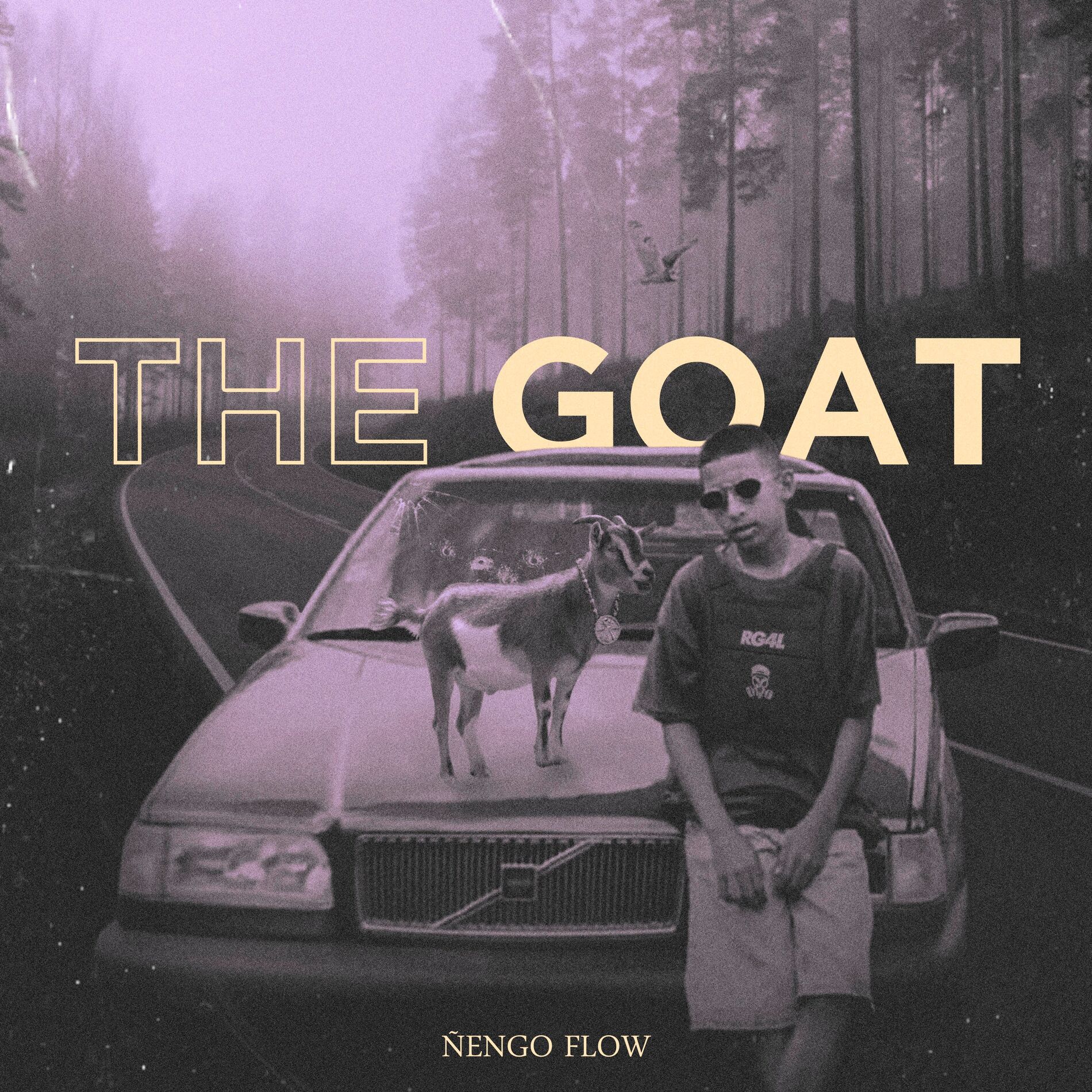 Album cover of Donde