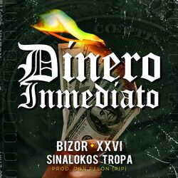 Cover of Dinero Inmediato