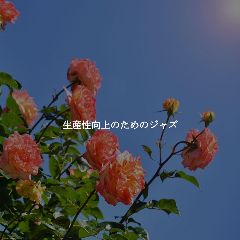 Picture of 生産性向上のためのジャズ