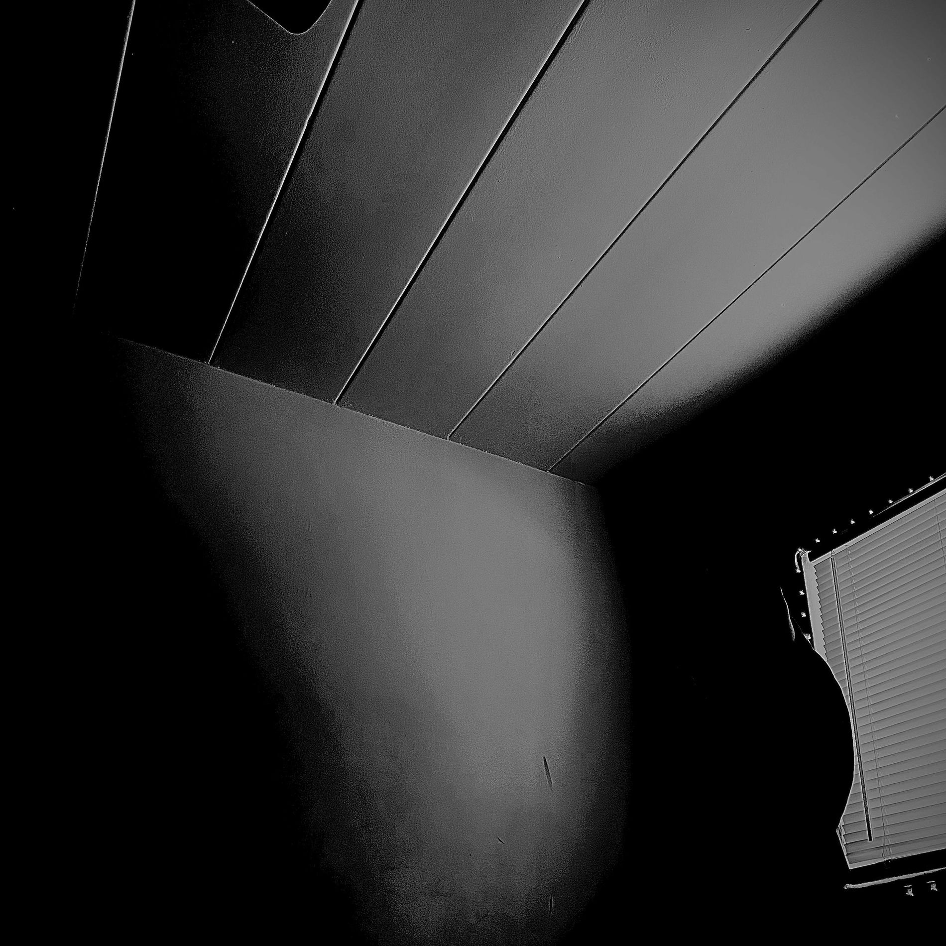 Album cover of I’m Not Human