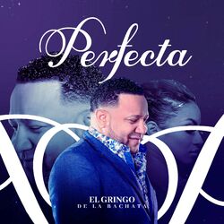 Cover of Perfecta