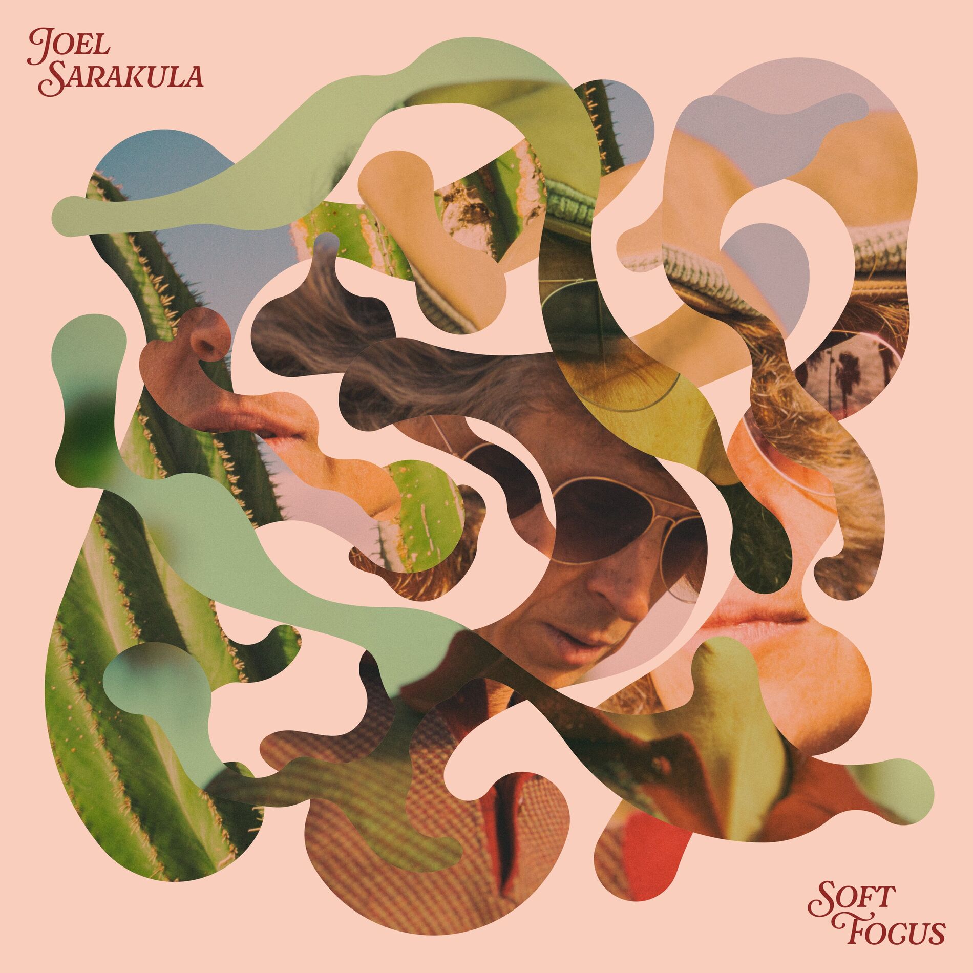 Album cover of Soft Focus