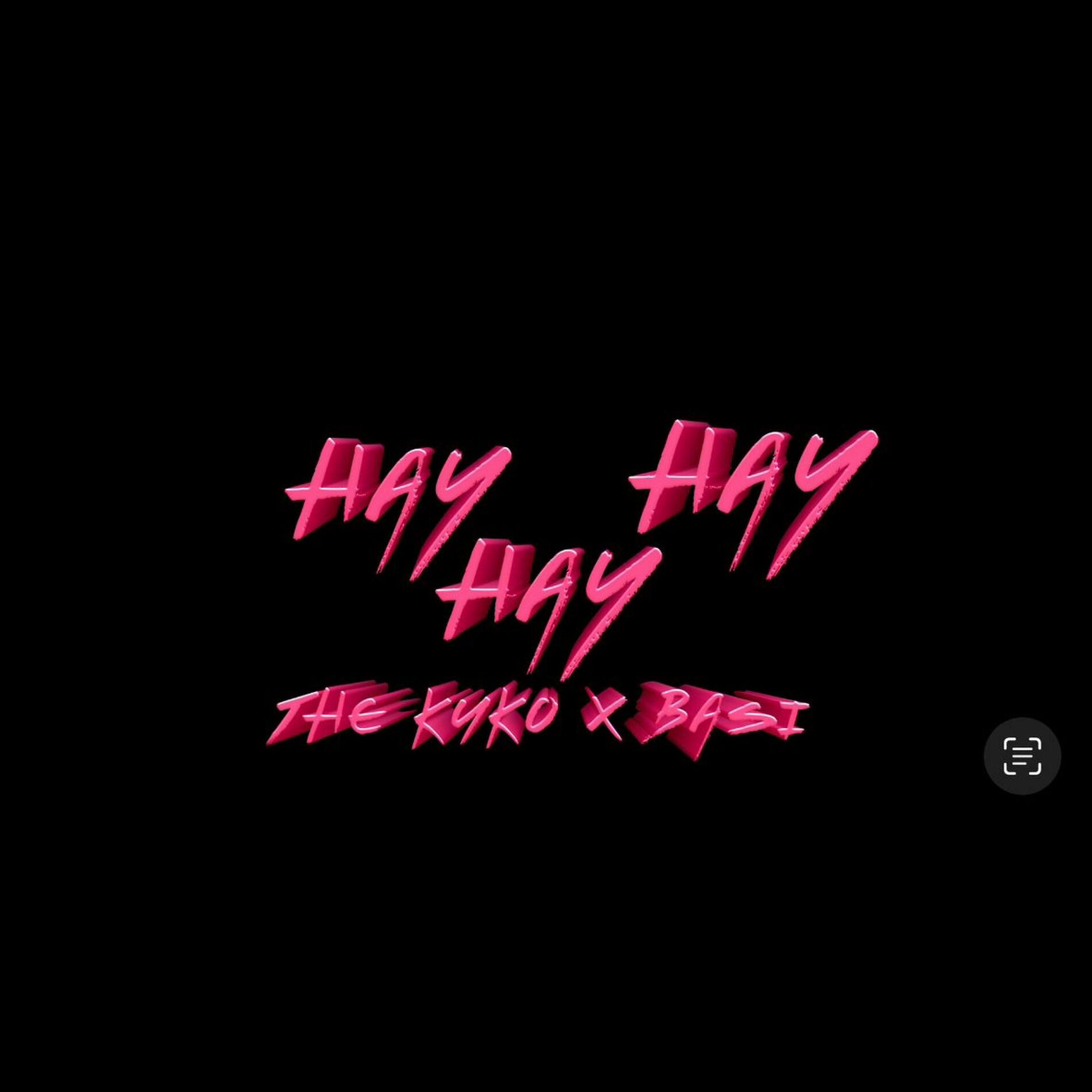 Album cover of HAY HAY HAY (feat. BASI)