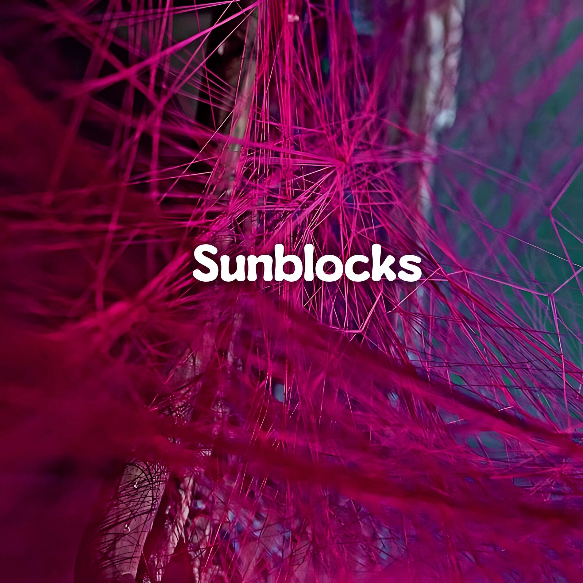 Album cover of Sunblocks
