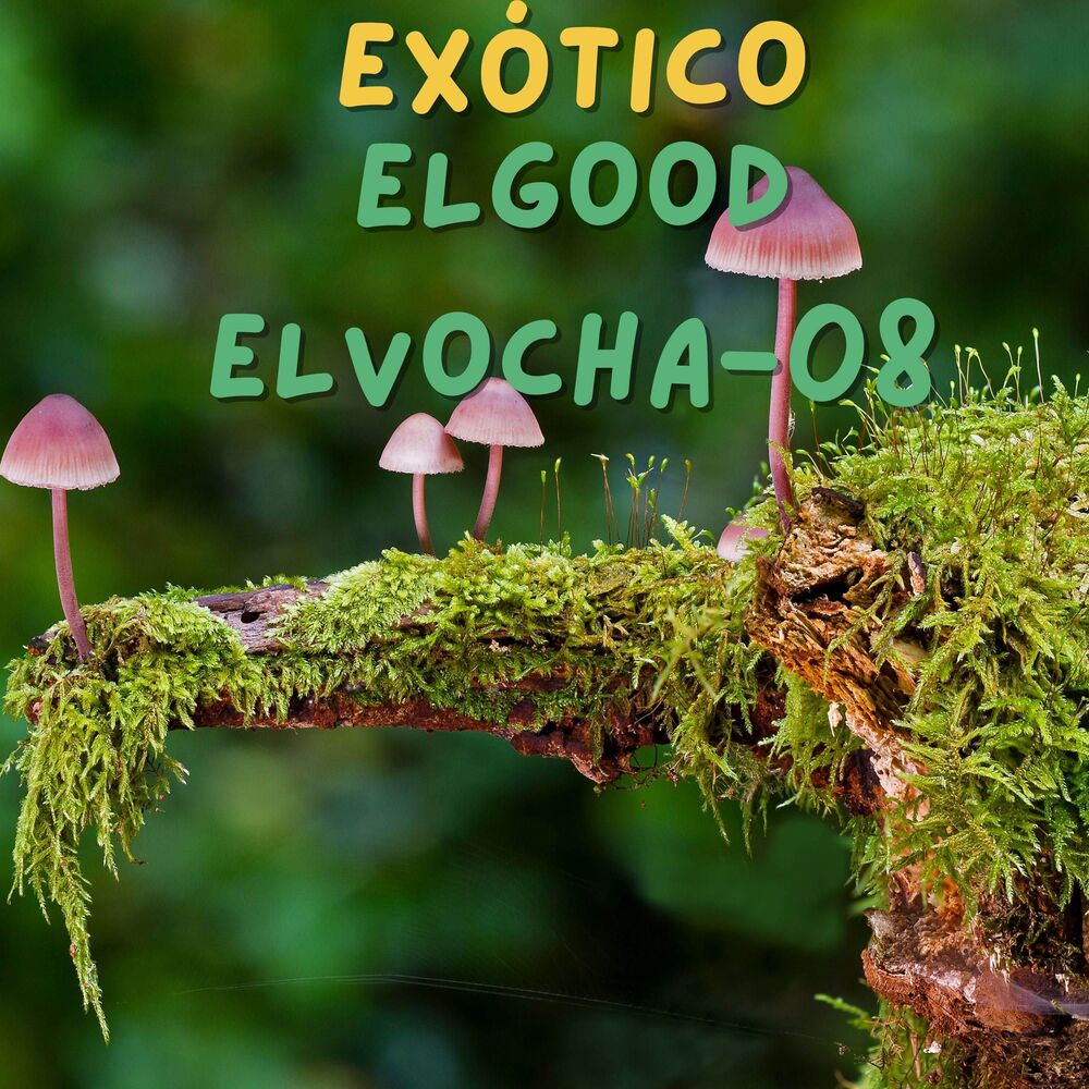 Picture of Exótico
