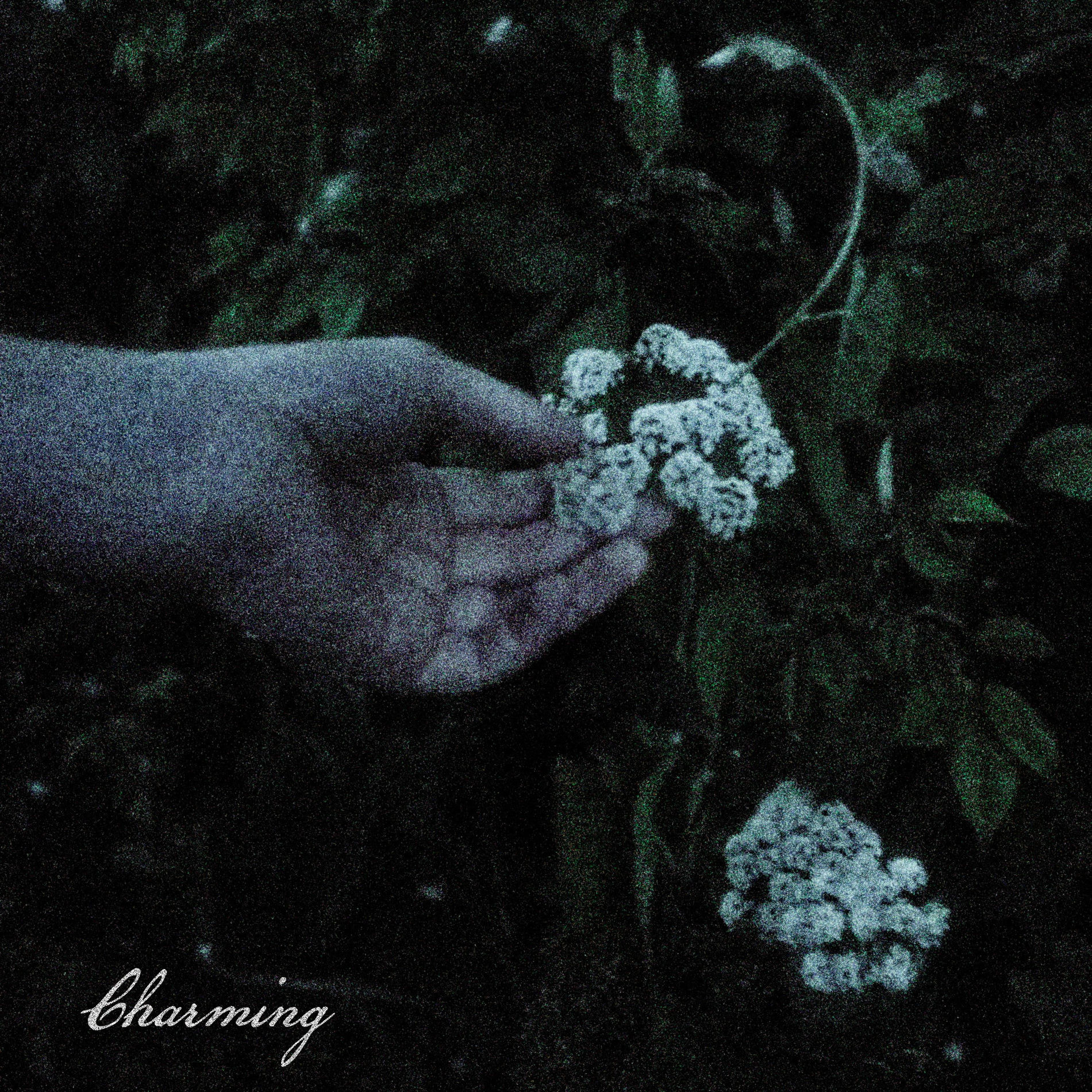 Album cover of Charming