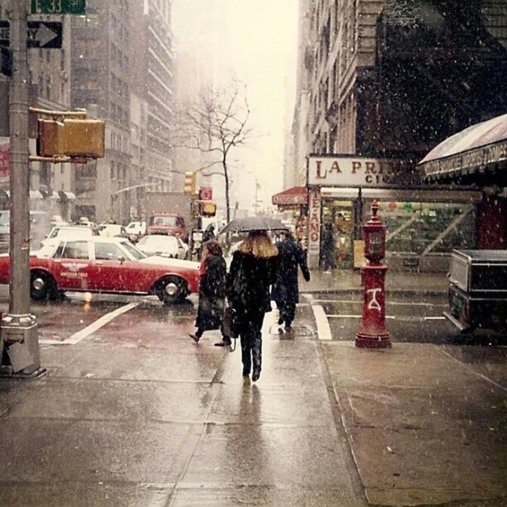 Picture of Hello, Winter!